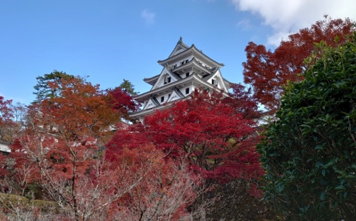 ▲秋季的郡上八幡城被紅葉環繞。　圖：Photo AC／來源