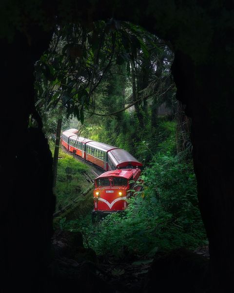 ▲阿里山森林小火車。　圖：嘉義縣文化觀光局／提供