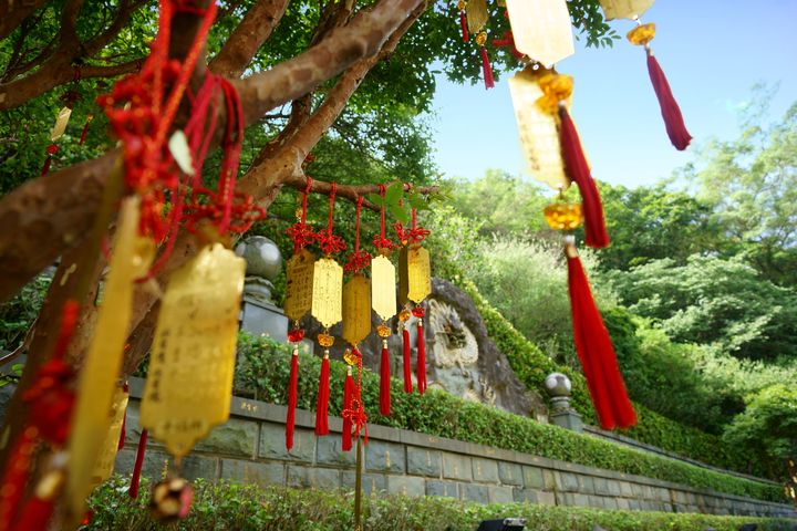 ▲體驗含指南宮祈福卡，可將願望掛在樹上，讓祝福隨風傳遞。　圖：臺北市政府觀光傳播局／提供