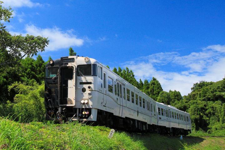 ▲「指宿之玉手箱」列車　圖：JR九州／提供