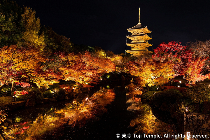 ▲夜晚的東寺。　圖：HOTEL THE MITSUI KYOTO／提供