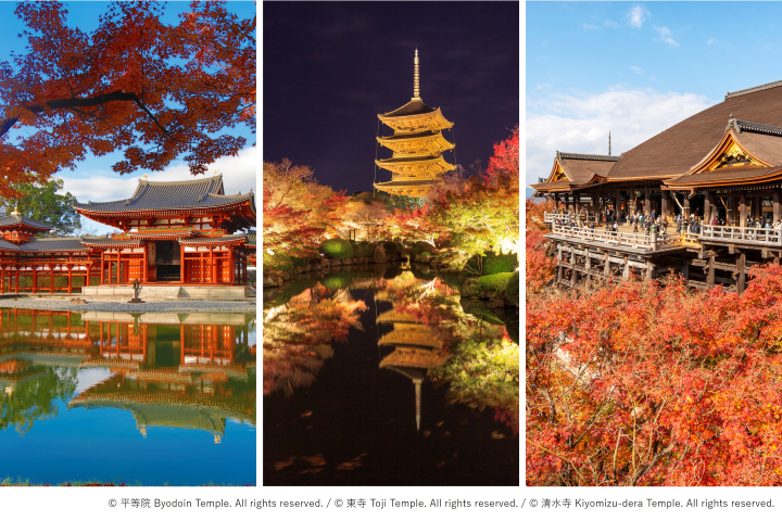 京都三大世界遺產，平等院、東寺、清水寺。　圖：HOTEL THE MITSUI KYOTO／提供