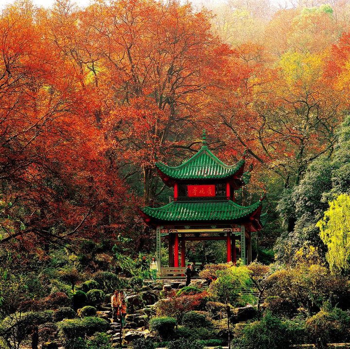 ▲岳麓山是長沙最具文化氣息的賞楓勝地之一，猶如古典畫。　圖：海峽兩岸旅遊交流協會／提供