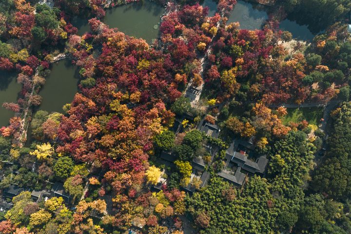 ▲蘇州天平山是江南賞楓名所，奇石滿佈。　圖：shutterstock／來源