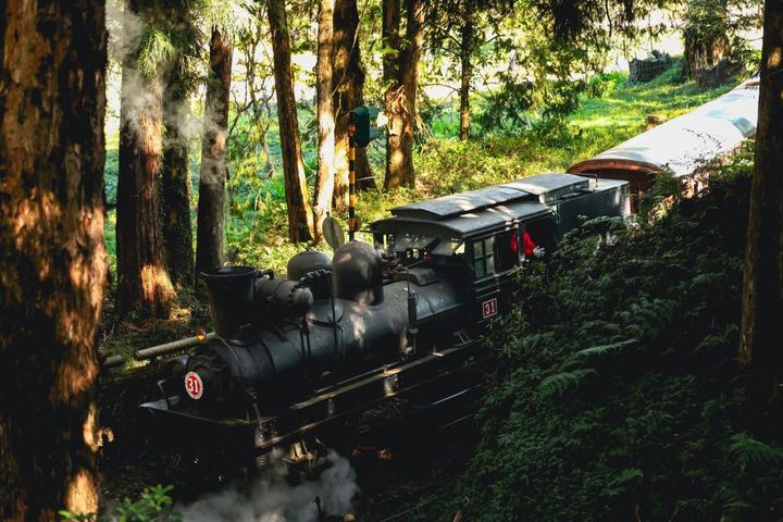 ▲阿里山森林遊樂區沼平車站蒸汽火車。　圖：阿里山賓館／提供