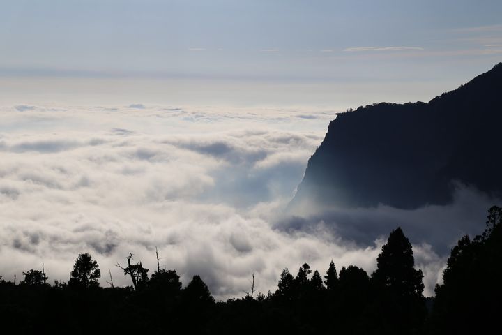 二萬坪雲海。　圖：阿里山賓館／提供 