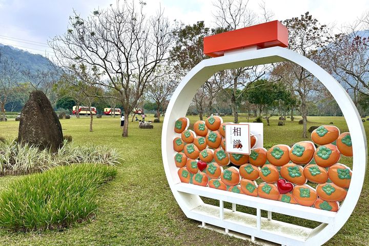 ▲「牛埔仔愛情大草原」則以廣闊翠綠的視野成為親子與情侶旅遊的首選。　圖：嘉義縣文化觀光局／提供