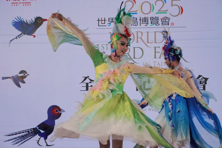 ▲舞蹈詮釋鳥之美-培培動態藝術中心帶來《羽語台灣-羽之頌》舞蹈演出,以舞姿詮釋藍鵲、朱雀等台灣特有鳥類意象,展現自然與藝術的融合。 圖:參山國家風景區管理處/提供