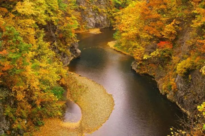 ▲北海道行程涵蓋定山溪、豐平峽、洞爺湖到大雪山國家公園等人氣賞楓地標。　圖：KKday／提供