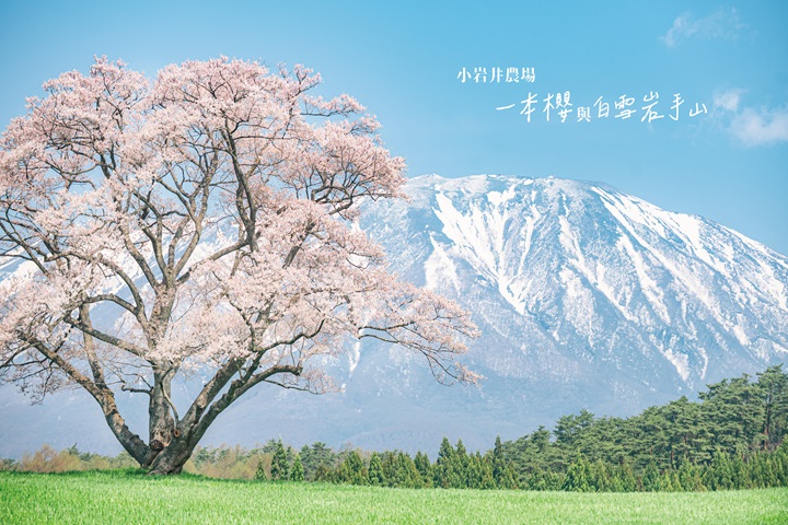 岩手縣和攝影作家BANBI在台北4家咖啡館聯展的「岩手影像物件展」即日起在嘎哩咖啡、菸花咖啡、某咖啡、三頁同展出至10月1日。 圖：岩手縣&BANBI ╱提供