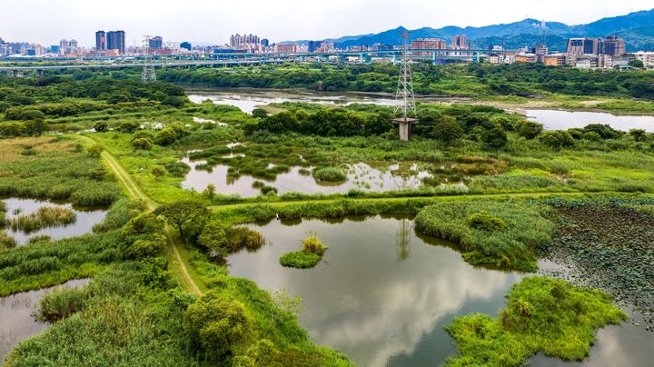 ▲鹿角溪人工溼地作為新北市環境教育場所，提供專業濕地介紹以及周邊生態導覽。　圖：新北市政府觀光旅遊局／提供