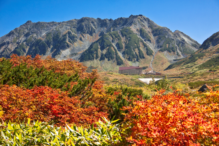 室堂秋季景色（往年照片，非即時狀況）。　圖：向日遊／提供