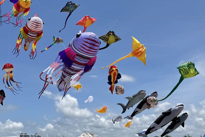 ▲今年風箏節以「大鯨旗．大成功」為主題，展現成功海洋文化、生態特色。　圖：台東縣成功鎮公所／提供  