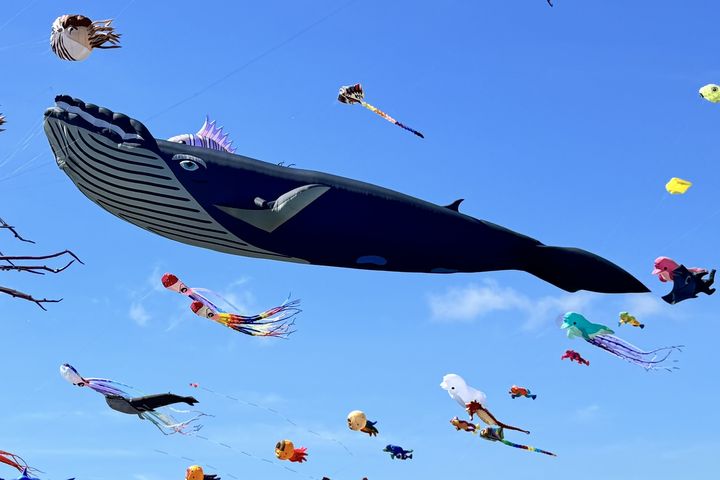 成功鎮「遨遊成功。誰與箏風」風箏節將於09/28在成功海濱公園盛大舉行！　圖：台東縣成功鎮公所／提供  