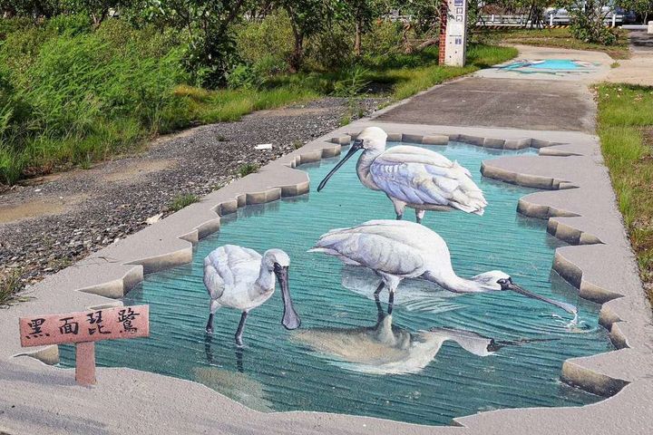 ▲布袋濕地地面上立體鳥類彩繪。　圖：雲嘉南管理處／提供