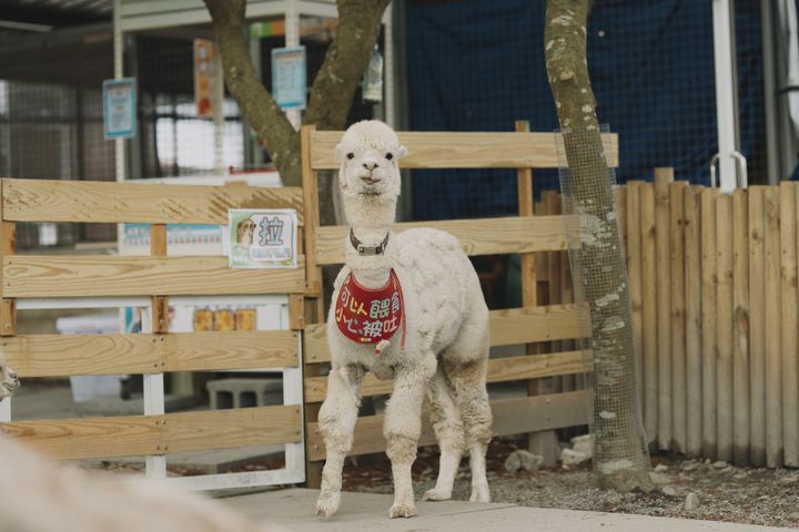 ▲水岸森林休閒農場。　圖：農遊超市／提供