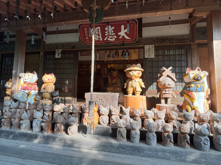 ▲雲林寺內有超過600件的貓咪擺飾。　圖：向日遊／提供