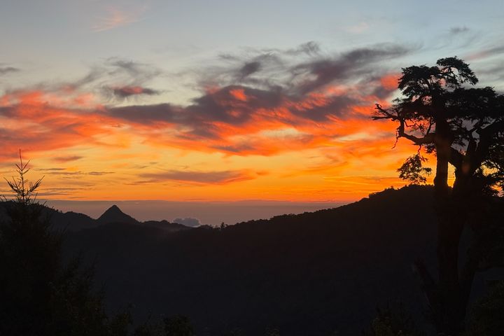 ▲大雪山在黃昏時分常可看見絢爛的雲海晚霞。　圖：農業部林業及自然保育署／提供