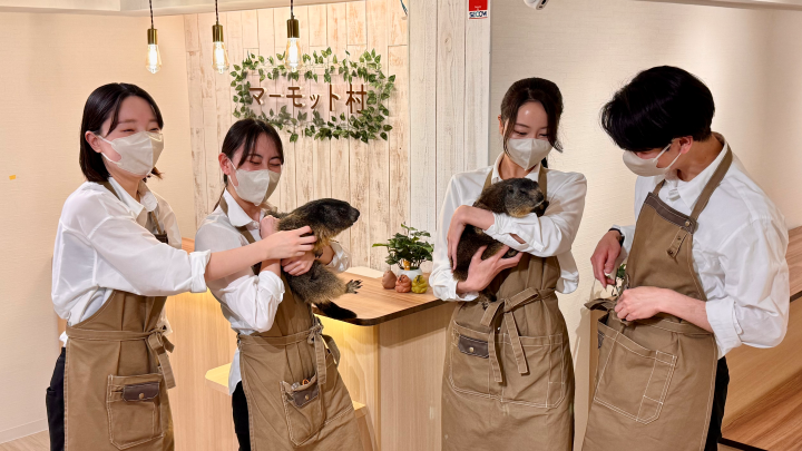 ▲土撥鼠村內共有8隻土撥鼠。　圖：土撥鼠村／提供