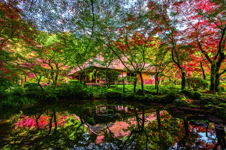 ▲「九年庵」僅開放九天可賞楓，是佐賀私房紅葉秘境。　圖：佐賀縣觀光聯盟／提供