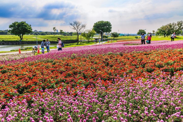 ▲盛開花海是親子出遊、情侶約會、朋友相聚的最佳景點。　圖：台北市政府水利工程處／提供