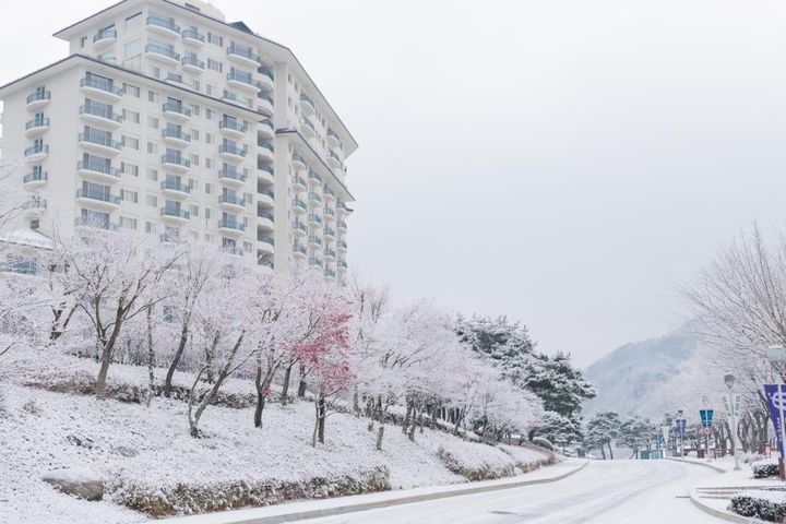 ▲韓國人氣滑雪場「伊利西安江村滑雪場」勇奪冠軍。　圖：KKday／提供