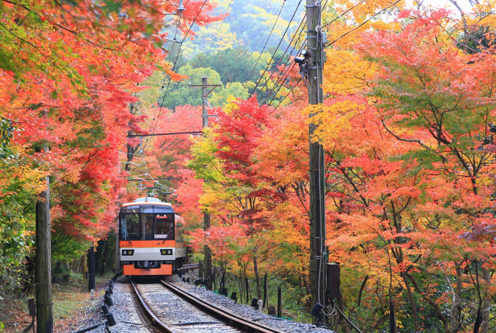 市原至二之瀬區間的紅葉隧道。　圖：叡山電鐵／提供