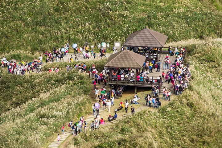 ▲60元「芒花專車」行駛「福隆遊客中心」—「遠望坑口站」,可節省約40分鐘步行時間(圖為資料照)。 圖:東北角及宜蘭海岸國家風景區管理處/提供