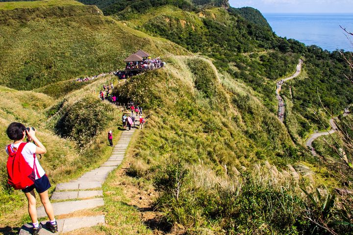 2025草嶺古道芒花季熱烈展開中,還有賞芒花專車、超值套票推出(圖為資料照)。 圖:東北角及宜蘭海岸國家風景區管理處/提供