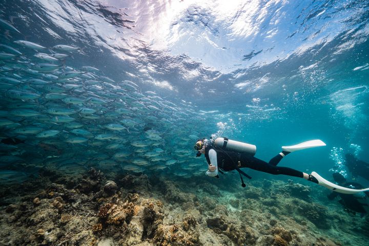 ▲沙巴－西巴丹島是世界級10大潛點之一。　圖：馬來西亞觀光局／提供
