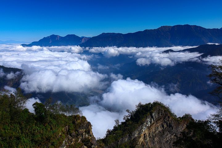▲阿里山雲海。 圖:阿里山賓館/提供