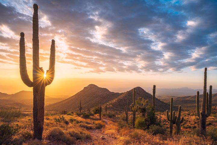 鳳凰城北部麥克道爾山脈，索諾蘭沙漠日出景色令人嘆為觀止。　圖：shutterstock／來源