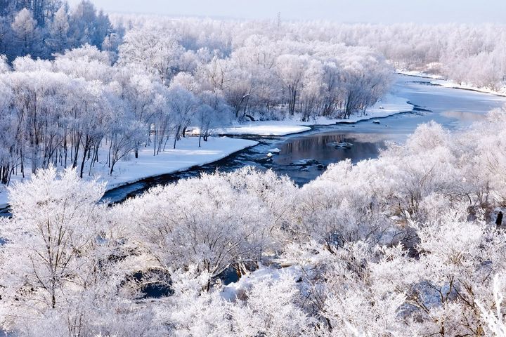 ▲黑龍江伊春市遜克大平台庫爾濱霧凇，雪白凝集猶如仙境。　圖：海旅會／提供