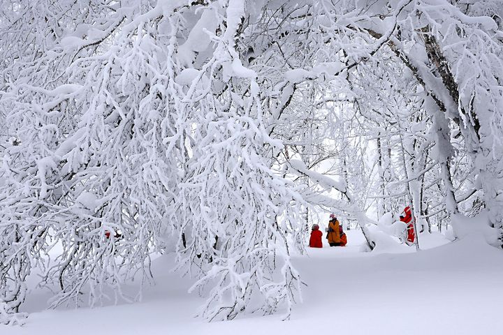 ▲中國大陸冬季旅遊，東北地區處處都是夢幻美景。　圖：海旅會／提供