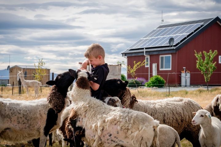 ▲旅客將能入住瓦納卡農莊1晚，以深入體驗紐西蘭人純樸的生活模式。　圖：尊榮假期／提供