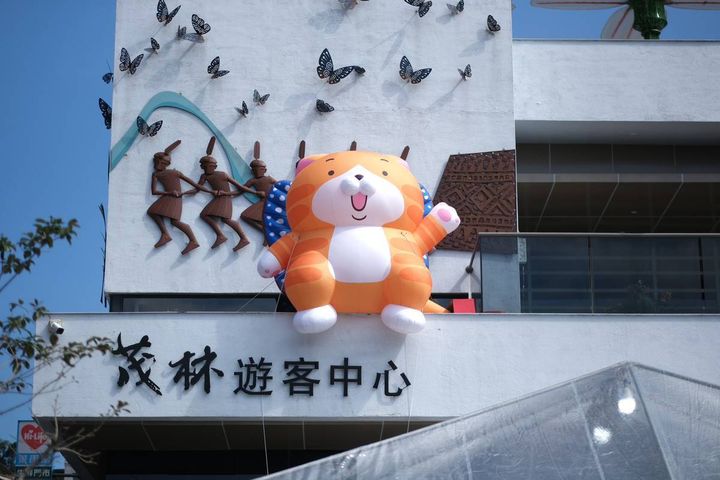 茂林遊客中心驚現「白爛貓」出沒！　圖：交通部觀光署茂林國家風景區管理處／提供