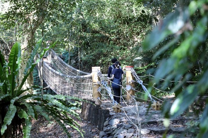 ▲雪山坑登山步道-繩索橋。　圖：臺中市政府觀光旅遊局／提供