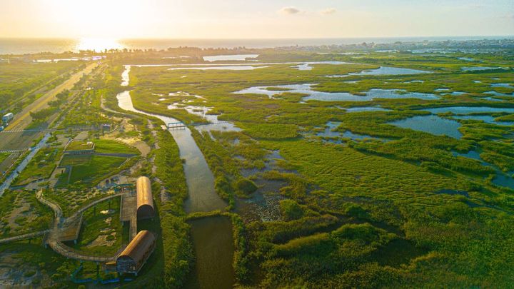 ▲跟著海線小旅行走進茄萣濕地賞鳥趣。　圖：高雄市政府觀光局／提供