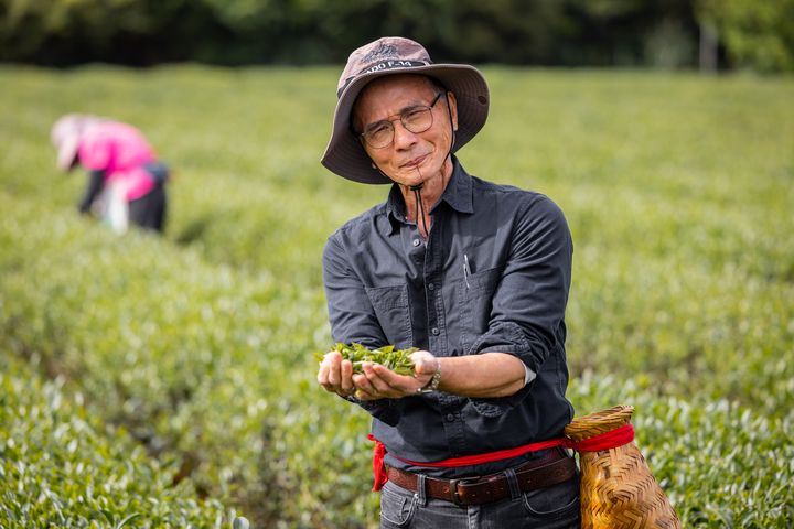 ▲「益壽茶園」龜山在地品牌。　圖：桃園市政府農業局／提供