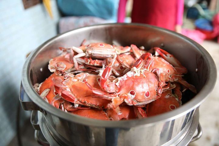 ▲「2025新北海派」呈現當季海蟹料理，透過推廣在地海鮮品牌，展現新北沿海漁港的新鮮美味與地方特色。　圖：新北市政府觀光旅遊局／提供