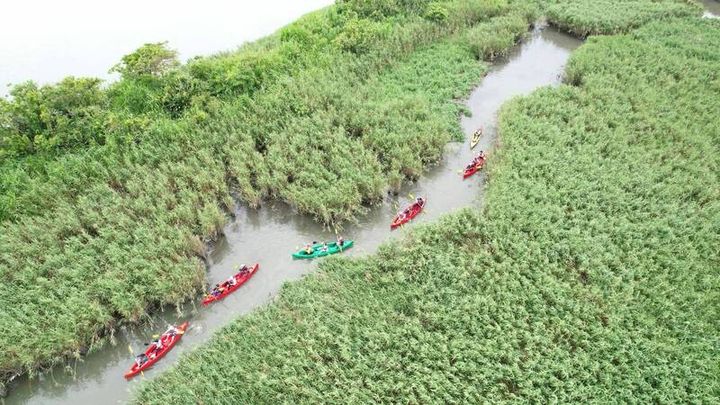 ▲水勢平穩、豐富的魚鳥生態，讓此地成為最適合學習自然的運動場。　圖：小河生活獨木舟／提供