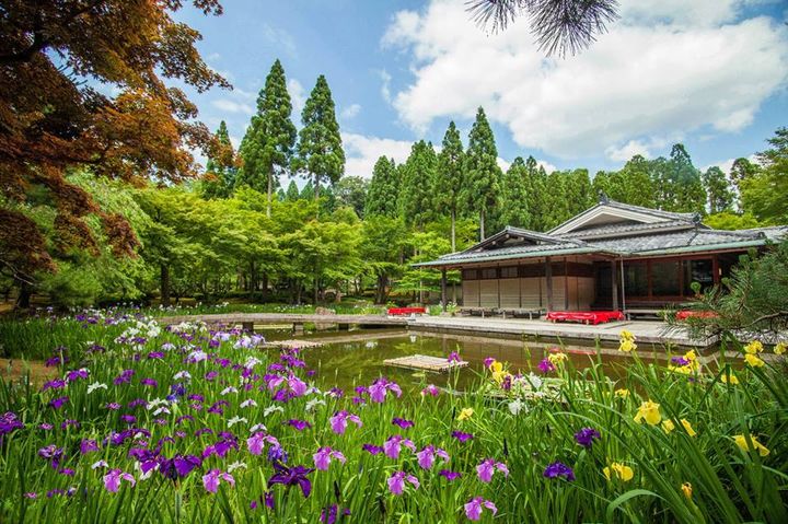 ▲以名庭規劃別致的旅遊行程，充分體現日式庭園建築的意境之美。　圖：太平洋旅行社／提供