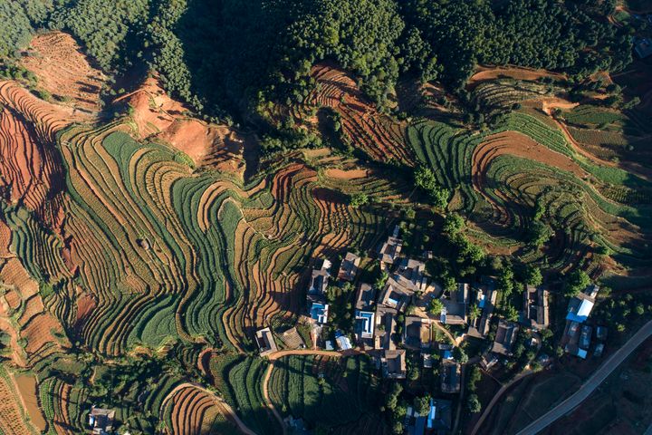 ▲攀枝花是「陽光花城」，以冬季暖陽和自然景觀聞名，適合遠離喧囂。　圖：shutterstock／來源