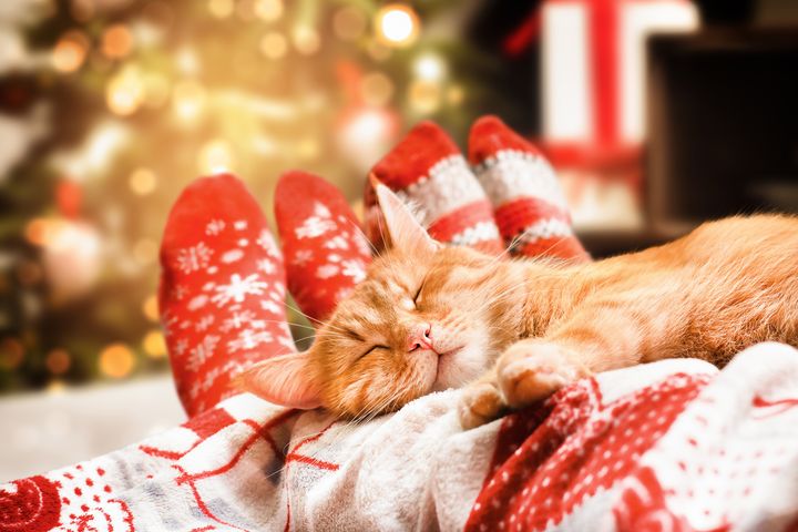 寒冷冬季，來趟溫暖的避冬假期最舒服。　圖：shutterstock／來源 