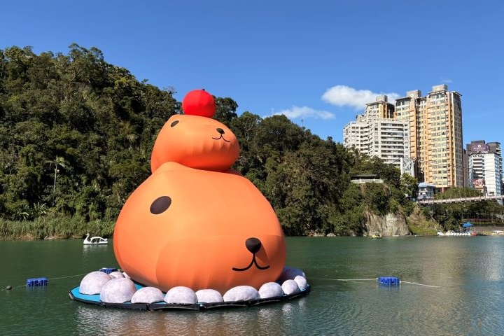 碧潭地景裝置展「呆在碧潭の水豚君」活動展期至12/28，已成為年末最療癒的打卡熱點。　圖：新北市政府觀光旅遊局／提供