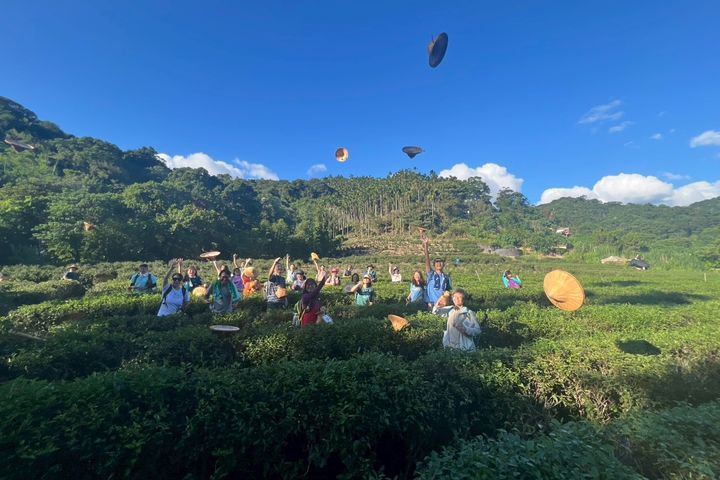 參與者於天芳茶行體驗採茶樂趣，在活動中認識地方茶文化與產業特色。　圖：新北市政府觀光旅遊局／提供 