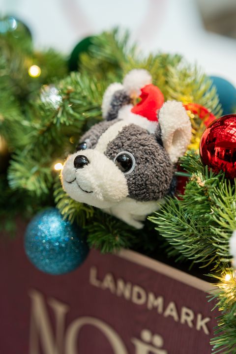 ▲可愛溫馨的聖誕裝置吸引遊客目光。　圖：Media OutReach Newswire／提供