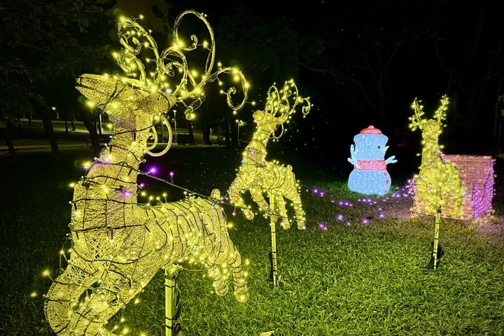 ▲大安森林公園「聖誕奇境」燈區，以聖誕老人、麋鹿、禮物盒及燈串等元素妝點，透過光影及樹影交織而成浪漫場域。　圖：臺北市政府觀光傳播局／提供