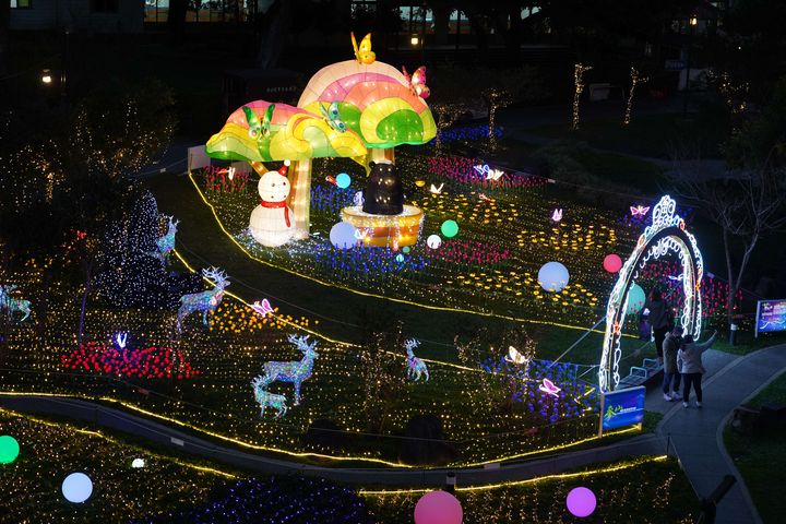 ▲谷關公園燈海綻放，遊客漫步拍照打卡。　圖：參山國家風景區管理處／提供