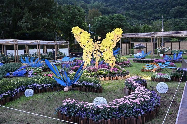 將大立菊的栽培技法融入「蛻菊」裝置藝術。　圖：台北市政府工務局公園路燈工程管理處／提供 